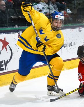 Erik Brannstrom (Photo by Matt Zambonin/HHOF-IIHF Images)