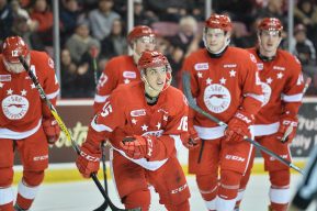 Sault Ste. Marie Greyhounds of the Ontario Hockey League. Photo by Terry Wilson